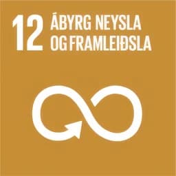 Heimsmarkmið 12: Ábyrg neysla og framleiðsla Heimsmarkmið 12: Ábyrg neysla og framleiðsla